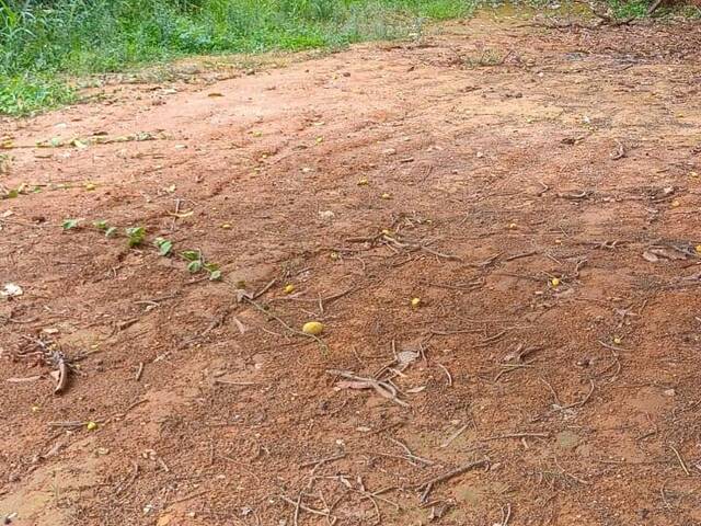 #415 - Área para Venda em Coronel Fabriciano - MG - 1