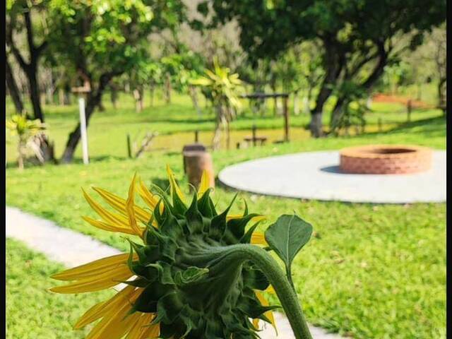 #627 - Chácara para Venda em Coronel Fabriciano - MG - 1